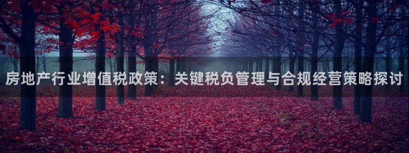娱乐风暴开头：房地产行业增值税政策：关键税负管理与合规经营策