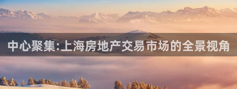 风暴娱乐字图片大全：中心聚集:上海房地产交易市场的全景视角