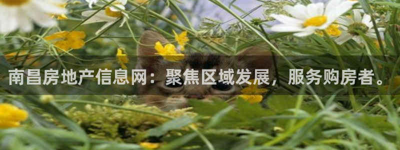 风暴娱乐