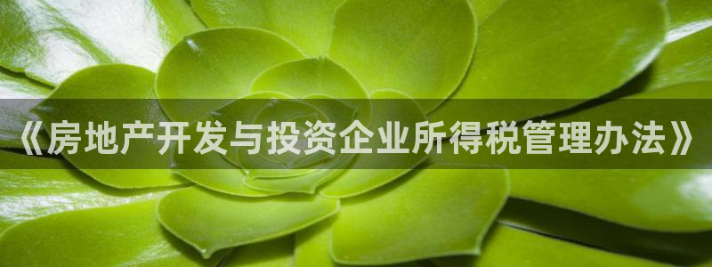 娱乐风暴系统：《房地产开发与投资企业所得税管理办法》