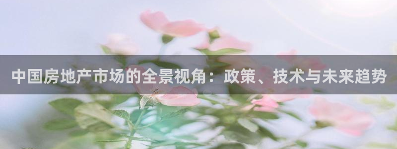 风暴娱乐去人l8888：中国房地产市场的全景视角：政策、技术