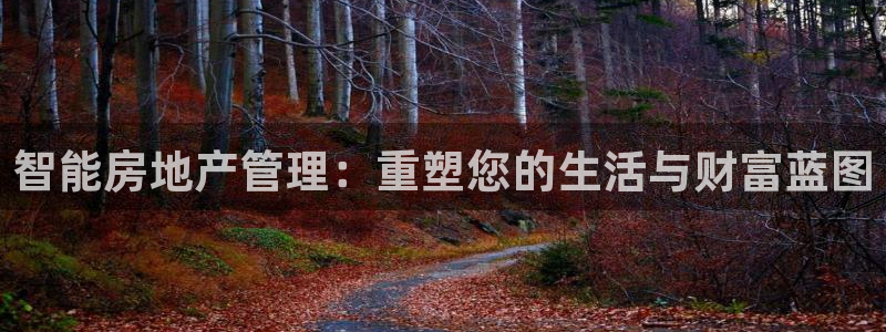 风暴娱乐提现：智能房地产管理：重塑您的生活与财富蓝图