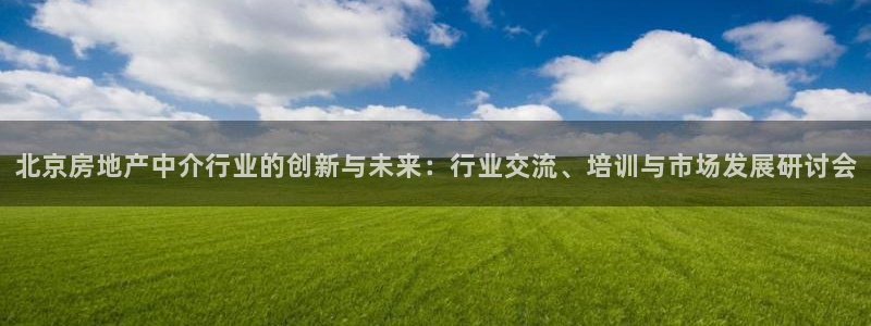 娱乐星空风暴：北京房地产中介行业的创新与未来：行业交流、培训