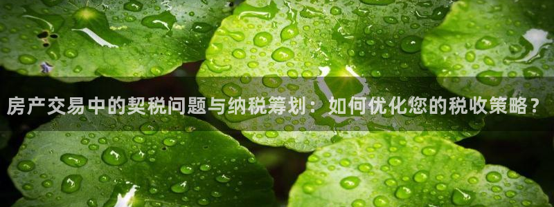 风暴娱乐主管是谁