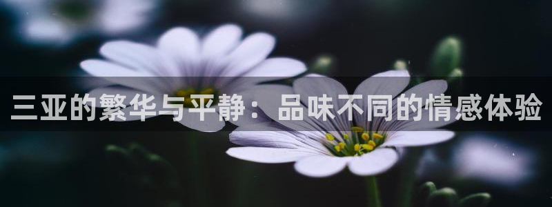 风暴娱乐点：三亚的繁华与平静：品味不同的情感体验