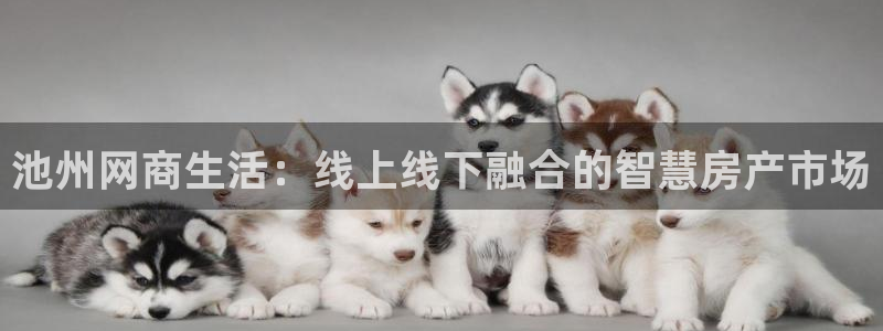 风暴娱乐 北京：池州网商生活：线上线下融合的智慧房产市场