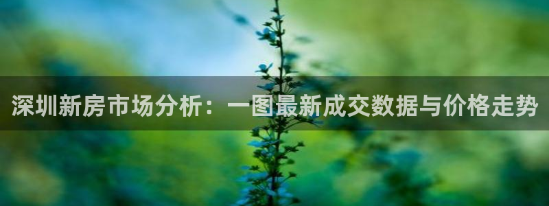 风暴新娱乐：深圳新房市场分析：一图最新成交数据与价格走势