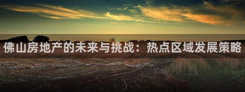 风暴娱乐线路：佛山房地产的未来与挑战：热点区域发展策略