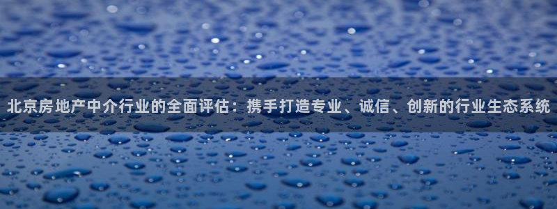 风暴娱乐344272：北京房地产中介行业的全面评估：携手打造