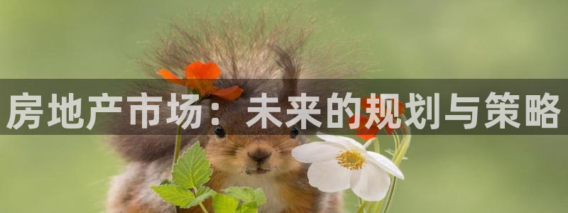 风暴娱乐求333OOa