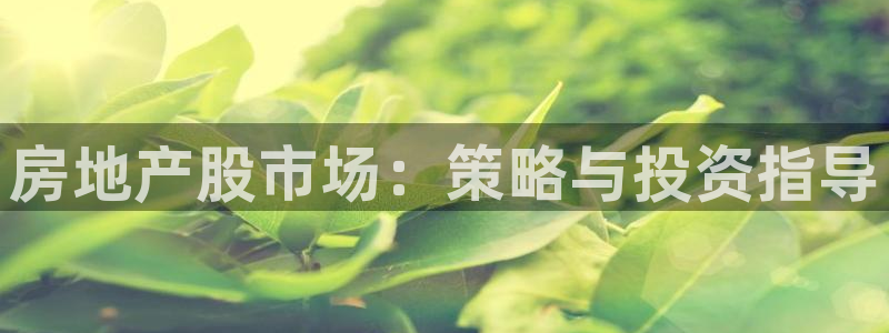 风暴娱乐去人l8888：房地产股市场：策略与投资指导