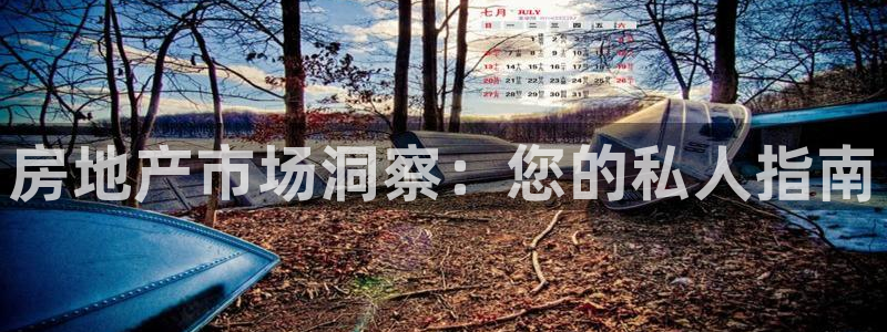 注册风暴娱乐：房地产市场洞察：您的私人指南
