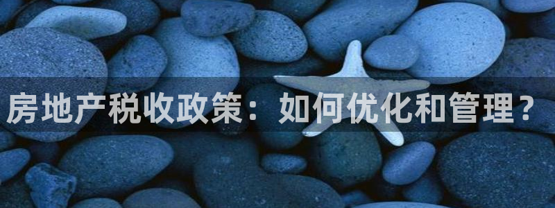风暴娱乐园：房地产税收政策：如何优化和管理？