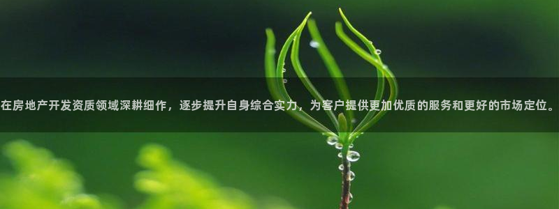 风暴娱乐测速：在房地产开发资质领域深耕细作，逐步提升自身综合