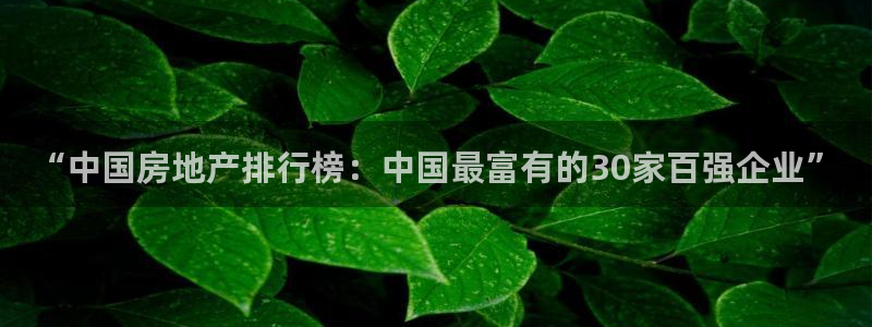 风暴娱乐官方网站：“中国房地产排行榜：中国最富有的30家百强