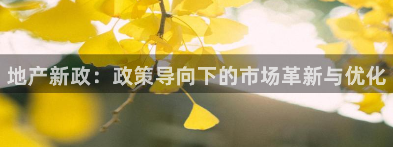 风暴娱乐客服：地产新政：政策导向下的市场革新与优化