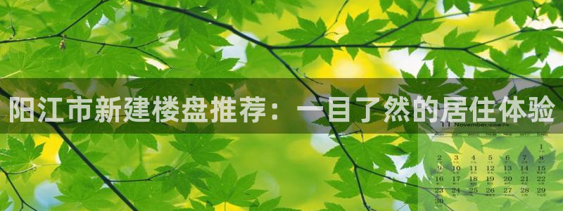 风暴大厅娱乐：阳江市新建楼盘推荐：一目了然的居住体验