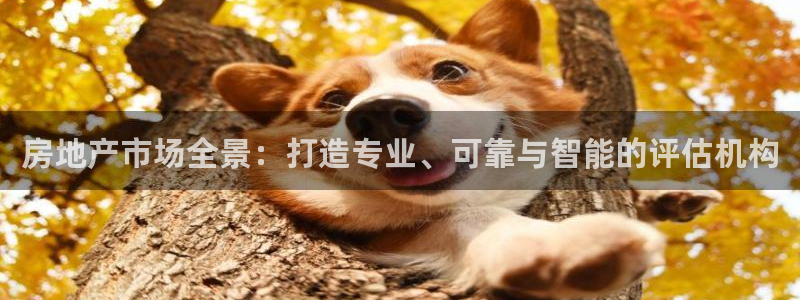 风暴娱乐字图片大全