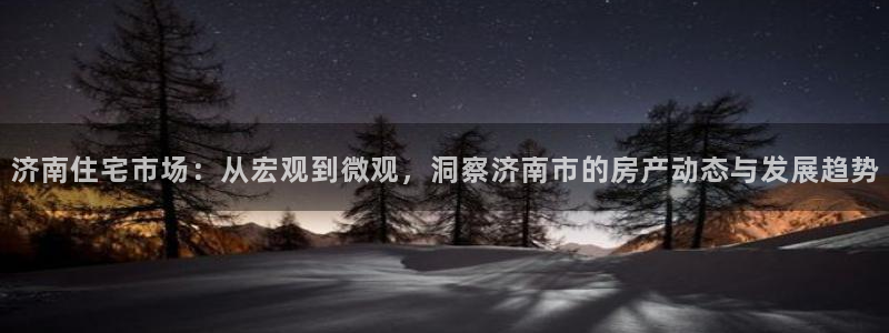 风暴娱乐平台地址：济南住宅市场：从宏观到微观，洞察济南市的房