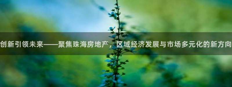 风暴新娱乐：创新引领未来——聚焦珠海房地产，区域经济发展与市