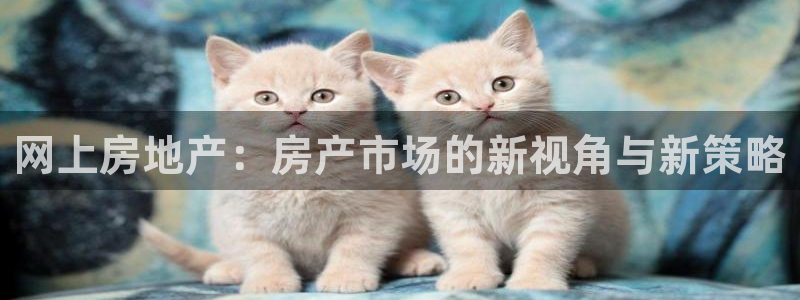 娱乐风暴开头：网上房地产：房产市场的新视角与新策略