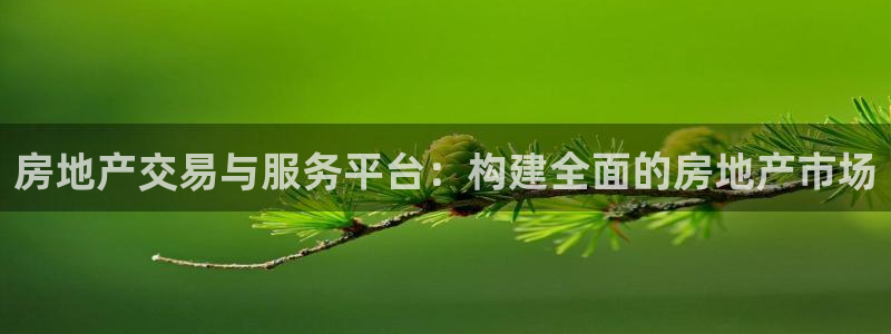 风暴眼娱乐：房地产交易与服务平台：构建全面的房地产市场