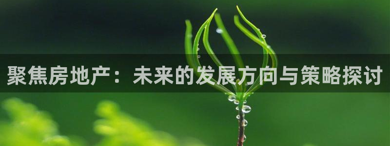 风暴娱乐眼：聚焦房地产：未来的发展方向与策略探讨