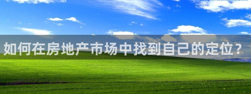 光风暴娱乐：如何在房地产市场中找到自己的定位？