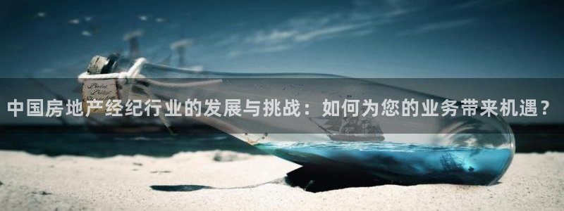 风暴数字娱乐：中国房地产经纪行业的发展与挑战：如何为您的业务