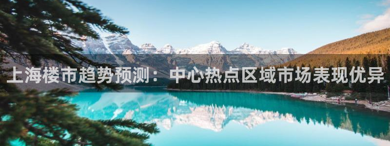 风暴娱乐厅：上海楼市趋势预测：中心热点区域市场表现优异