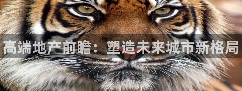 风暴娱乐首页：高端地产前瞻：塑造未来城市新格局