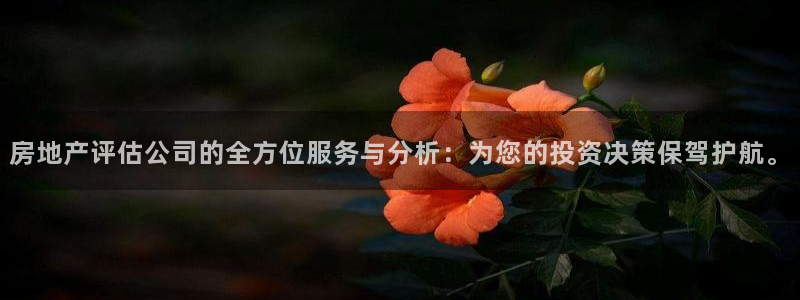 风暴娱乐测速：房地产评估公司的全方位服务与分析：为您的投资决