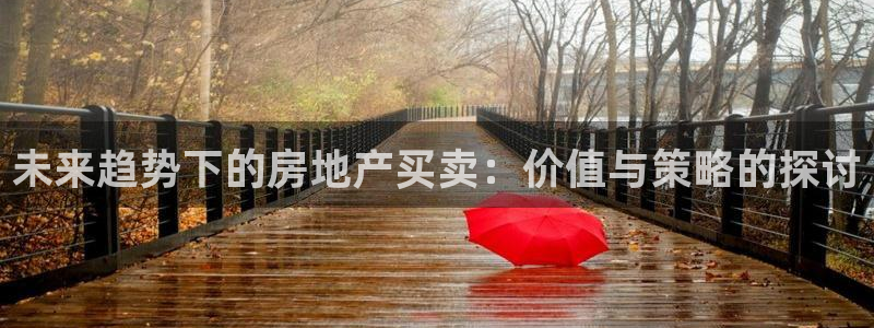 风暴娱乐月5指尖：未来趋势下的房地产买卖：价值与策略的探讨