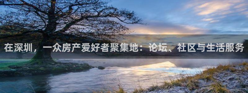 风暴娱乐上5指尖：在深圳，一众房产爱好者聚集地：论坛、社区与