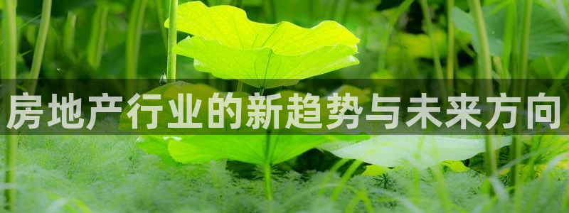 风暴娱乐厅：房地产行业的新趋势与未来方向