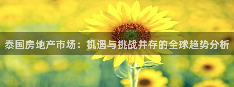 菲律宾风暴娱乐集团：泰国房地产市场：机遇与挑战并存的全球趋势