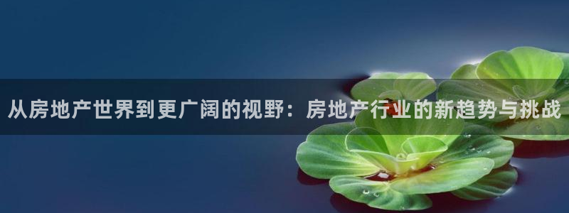 娱乐风暴二