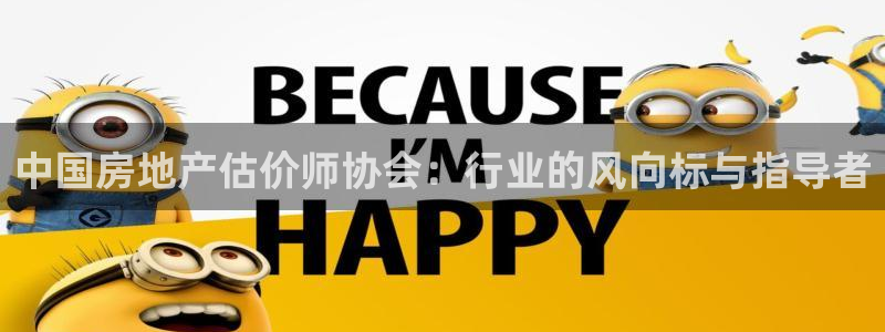 风暴娱乐待遇：中国房地产估价师协会：行业的风向标与指导者