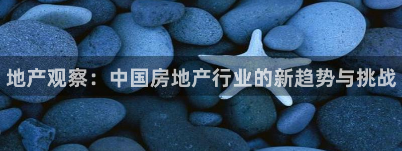 风暴娱乐汇：地产观察：中国房地产行业的新趋势与挑战