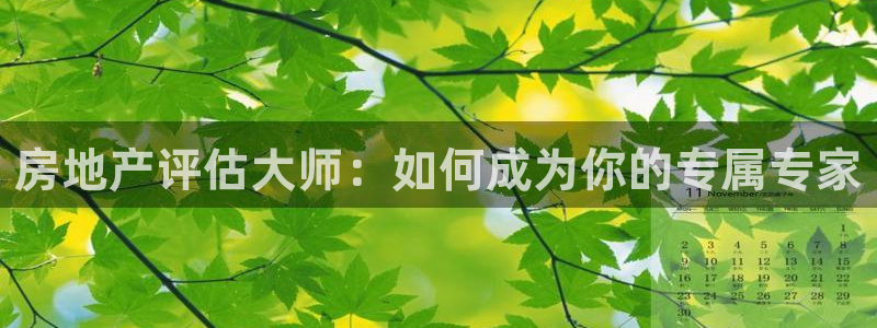 风暴娱乐主管是谁：房地产评估大师：如何成为你的专属专家