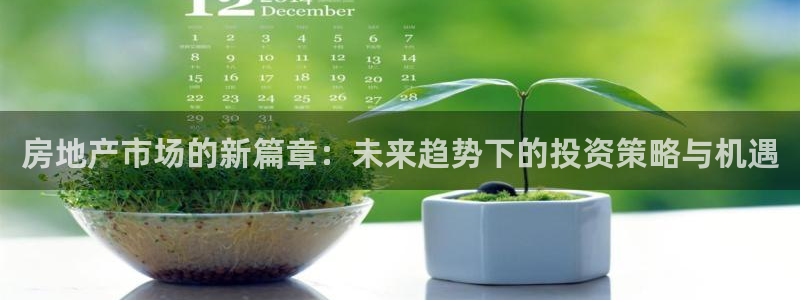 风暴娱乐记：房地产市场的新篇章：未来趋势下的投资策略与机遇