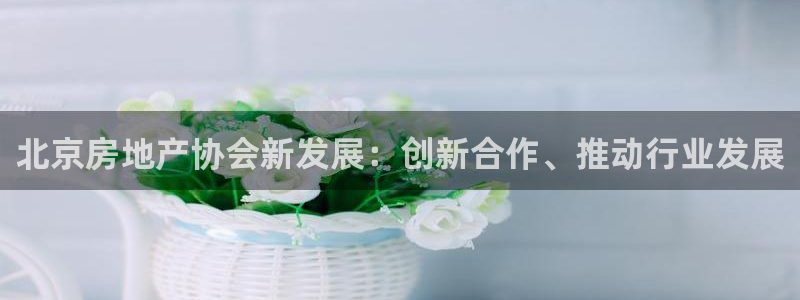 风暴娱乐下载地址：北京房地产协会新发展：创新合作、推动行业发