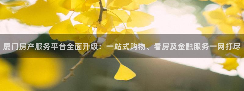 风暴娱乐注册网址：厦门房产服务平台全面升级：一站式购物、看房