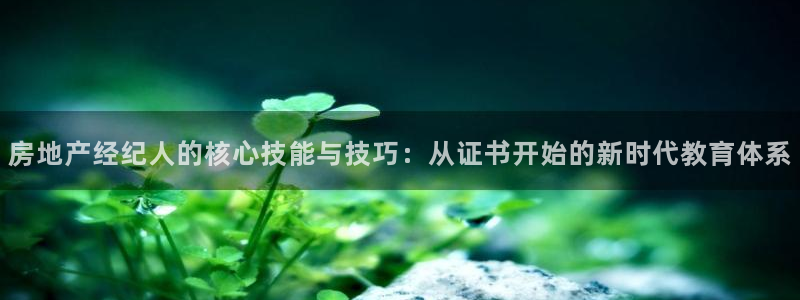 娱乐星空风暴：房地产经纪人的核心技能与技巧：从证书开始的新时