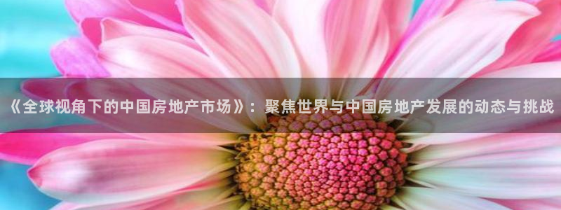 风暴眼娱乐：《全球视角下的中国房地产市场》：聚焦世界与中国房