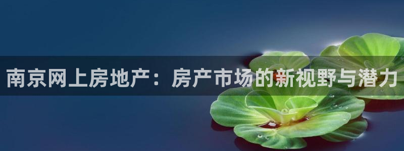 光风暴娱乐：南京网上房地产：房产市场的新视野与潜力