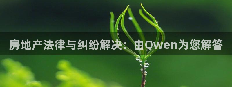 光风暴娱乐：房地产法律与纠纷解决：由Qwen为您解答