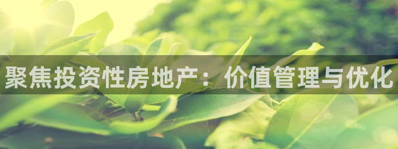 注册风暴娱乐：聚焦投资性房地产：价值管理与优化