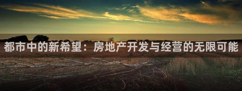 风暴娱乐下5指尖：都市中的新希望：房地产开发与经营的无限可能