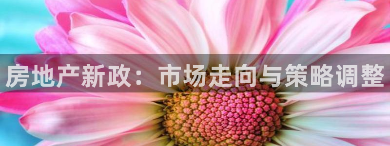 风暴娱乐平台地址：房地产新政：市场走向与策略调整